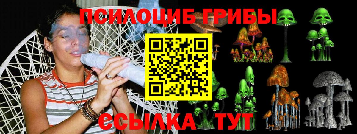 Псилоцибиновые грибы прущие грибы Камень-на-Оби